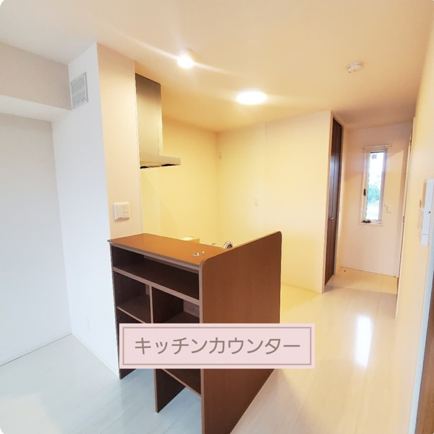 【気兼ねなく暮らせる1LDK!トイレも2ヶ所で楽々】